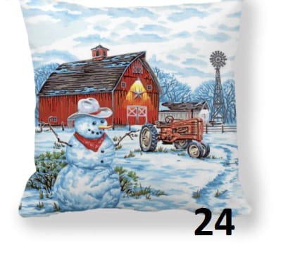 24.jpg