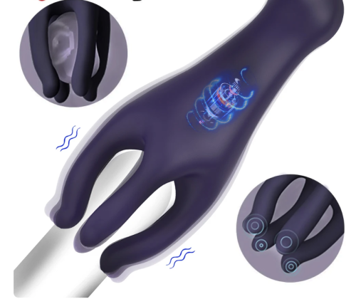 dybcia