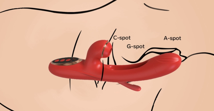 dybcia