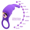dybcia