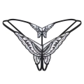 3.webp
