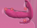 dybcia